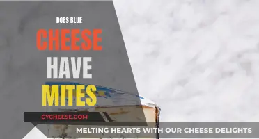 Blue Cheese and Mites: What's the Connection?