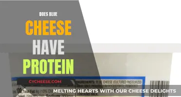Blue Cheese: A Protein-Rich Superfood?