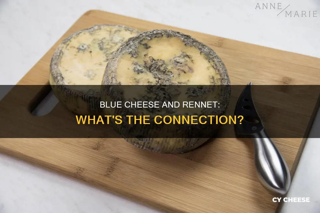 does blue cheese have rennet