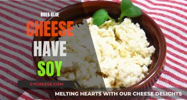 Blue Cheese and Soy: A Tasty Combination?