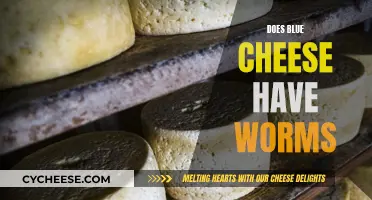 The Truth About Blue Cheese and Worms