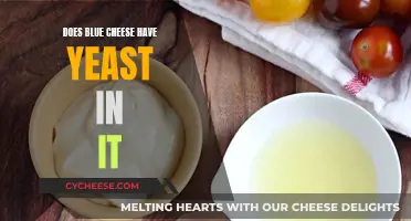 Blue Cheese and Yeast: What's the Connection?