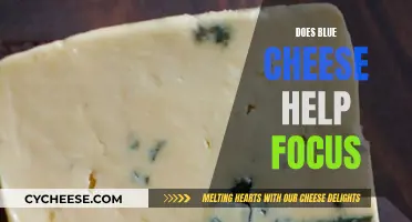 Blue Cheese: Superfood for Focus and Concentration?