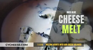 Blue Cheese Melting: The Science Behind It