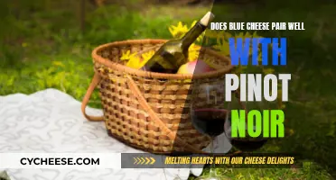 Blue Cheese and Pinot Noir: A Perfect Pairing?