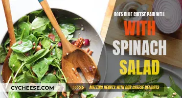 Blue Cheese and Spinach Salad: A Match Made in Heaven?