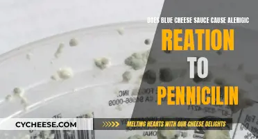 Blue Cheese Sauce: A Penicillin Allergy Trigger?
