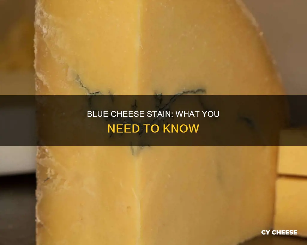 does blue cheese stain