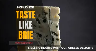 Blue Cheese and Brie: Similar or Distinctive?