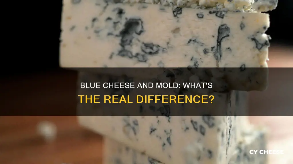 does blue cheese taste like mold