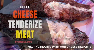 Blue Cheese Magic: Tenderizing Meat, Unveiling Secrets