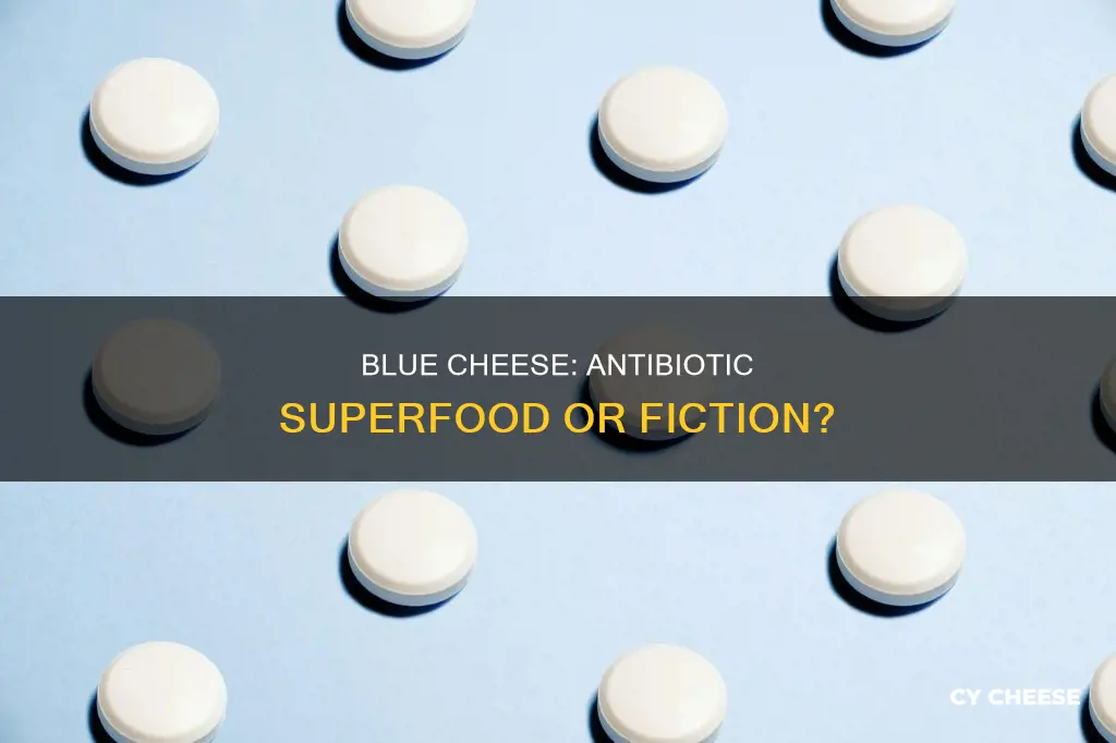 does blue cheese work like an antibiotic