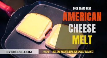 Melted Boar's Head American Cheese: Does it Work?