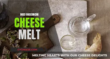 Will Bocconcini Cheese Melt? Melting Point Explained