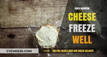 Can You Freeze Boursin Cheese? A Complete Storage Guide
