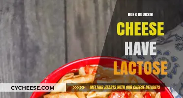 Does Boursin Cheese Contain Lactose? A Comprehensive Guide