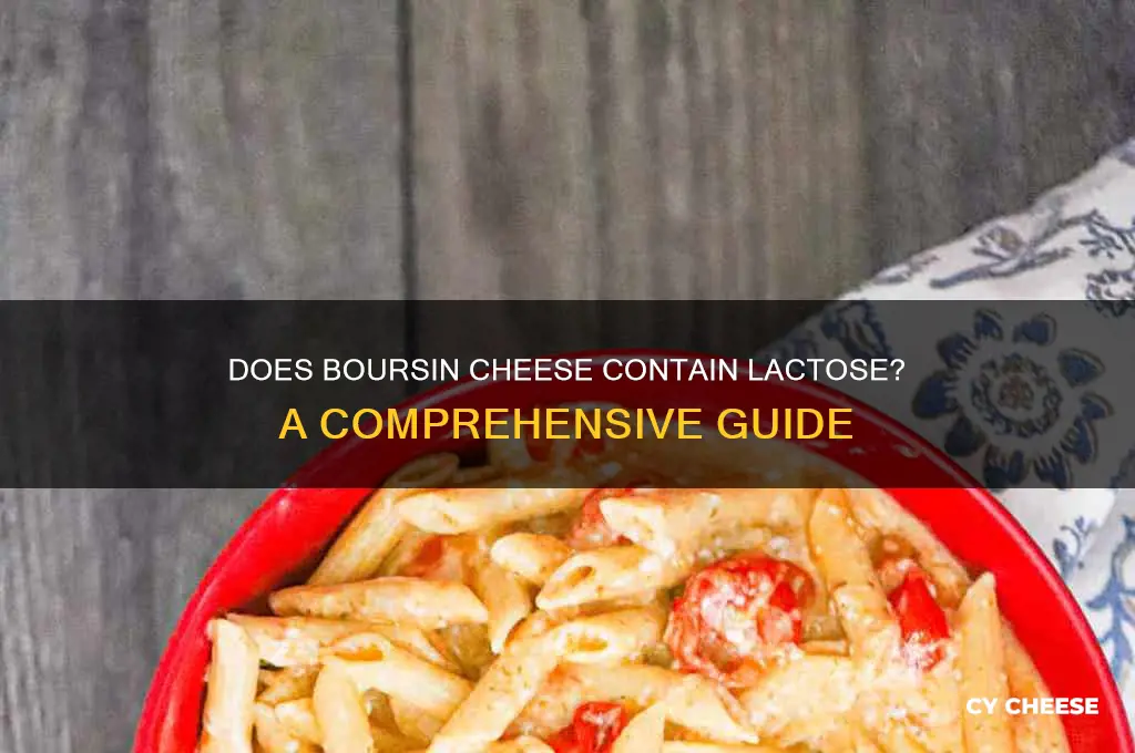 does boursin cheese have lactose