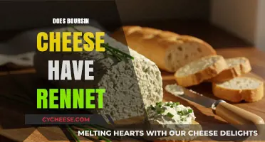 Is Boursin Cheese Vegetarian? Exploring Rennet in Its Ingredients