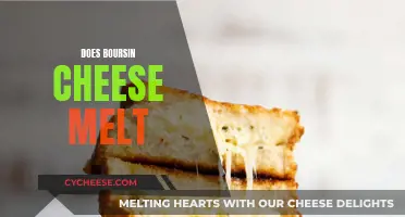 Melting Boursin Cheese: Does It Work?