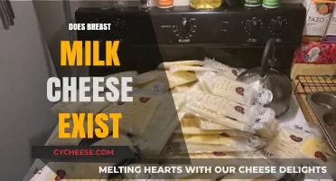 Breast Milk Cheese: Myth or Reality? Exploring This Unique Dairy Concept