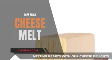 Melting Magic: Does Brick Cheese Melt?