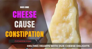 Can Brie Cheese Cause Constipation? Exploring the Surprising Link