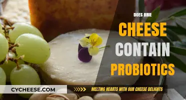 Does Brie Cheese Contain Probiotics? Uncovering the Truth About This Creamy Delight