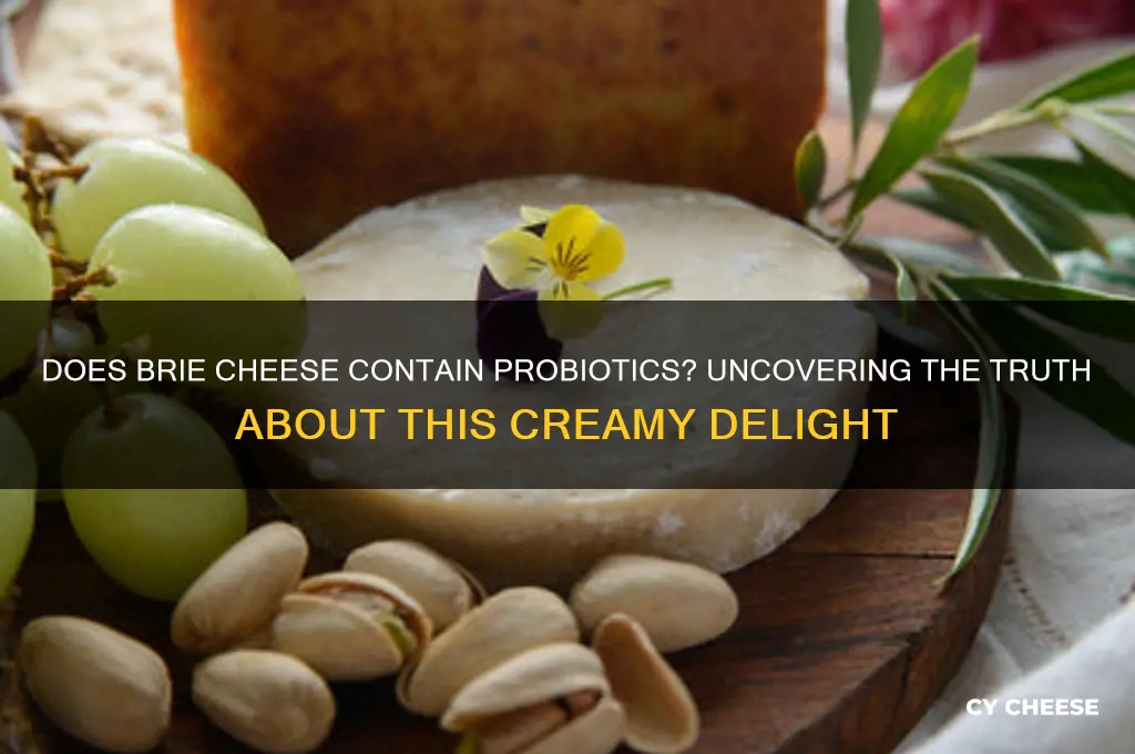 does brie cheese contain probiotics