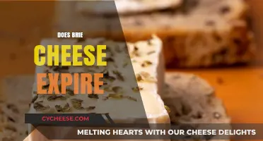 Does Brie Cheese Expire? Shelf Life, Storage Tips, and Freshness Guide