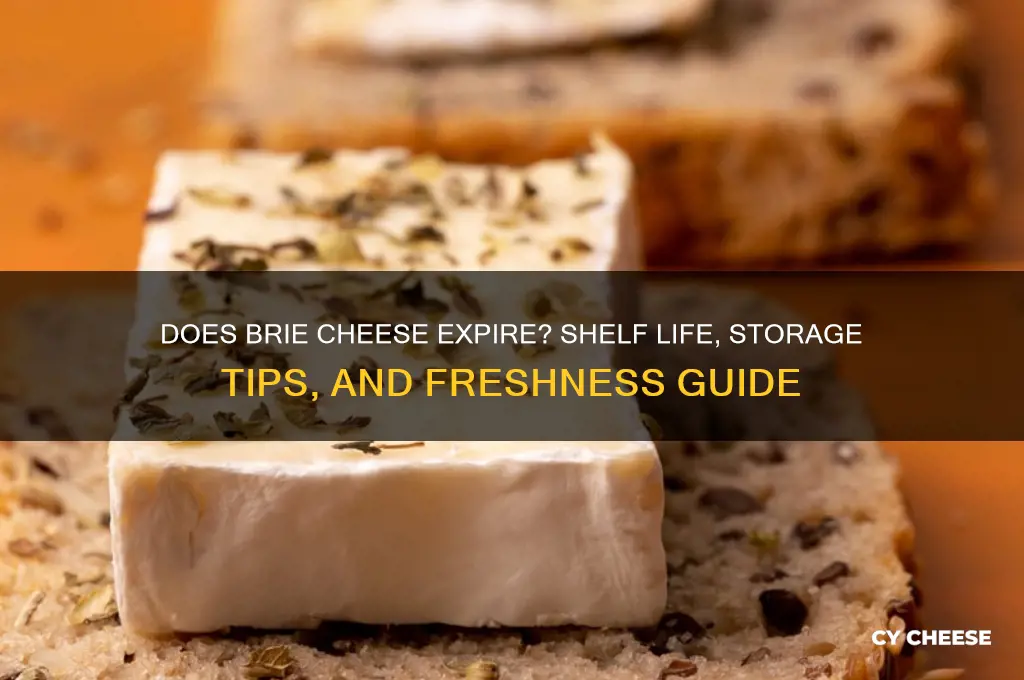 does brie cheese expire