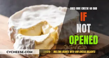 Brie Cheese: Does It Go Bad Unopened?