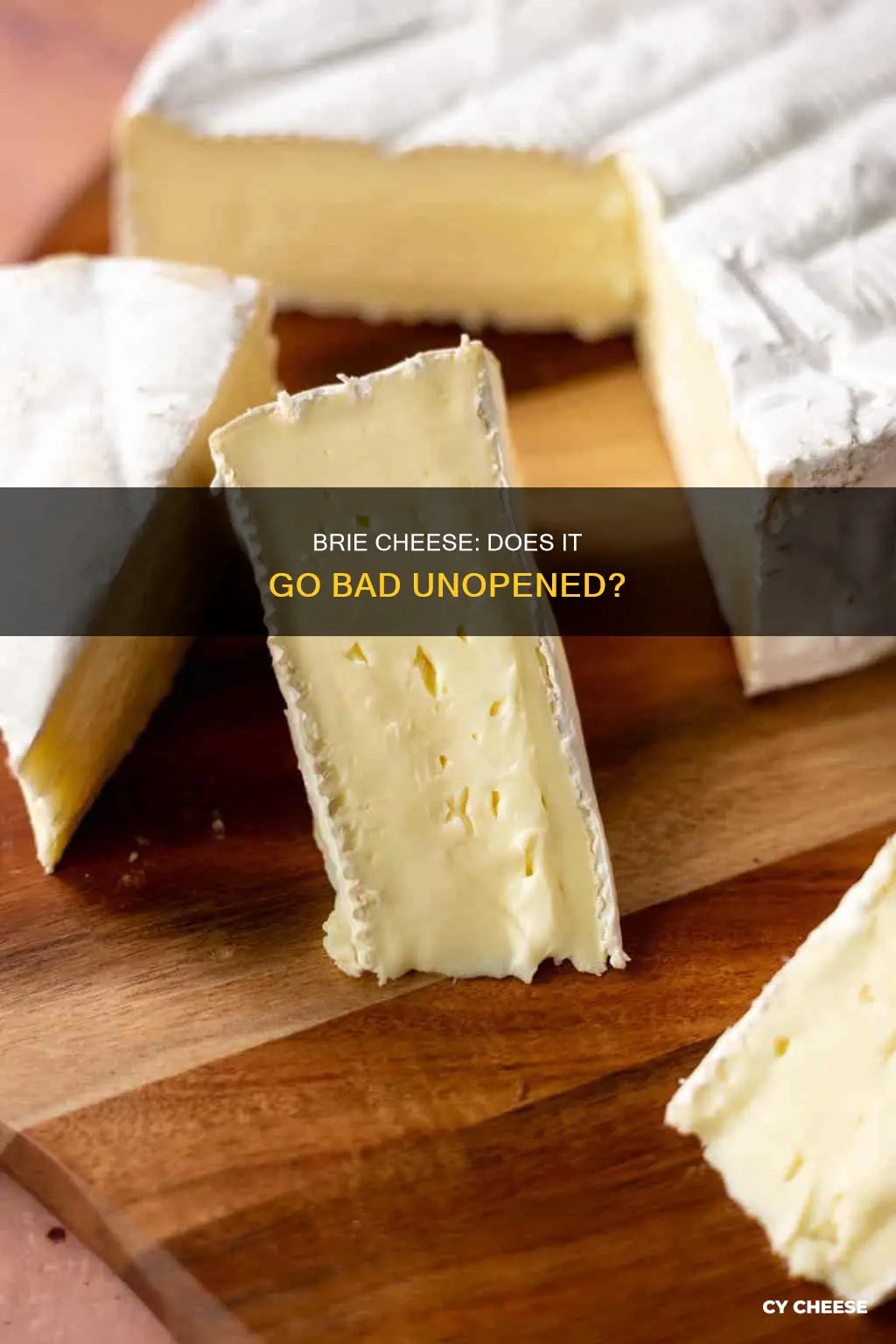 does brie cheese go bad if not opened