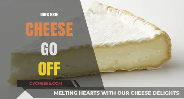 Does Brie Cheese Go Off? Shelf Life, Signs, and Storage Tips