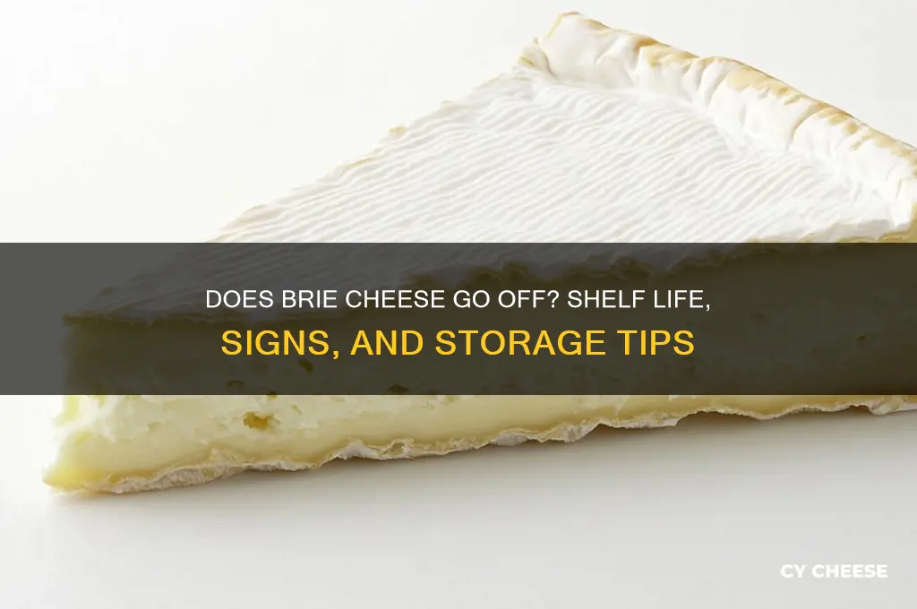 does brie cheese go off