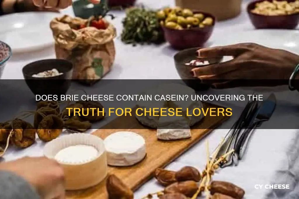 does brie cheese have casein