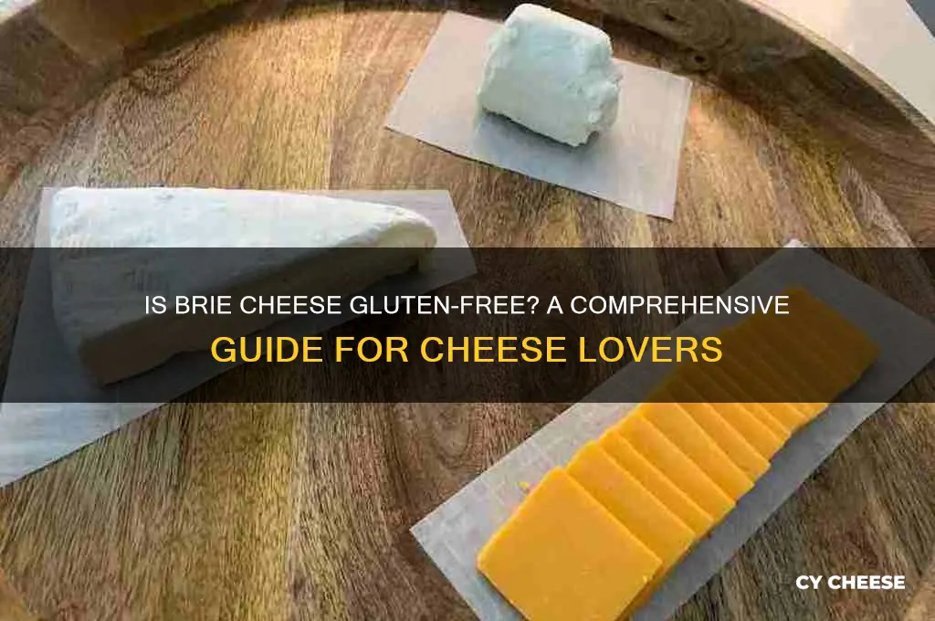 does brie cheese have gluten