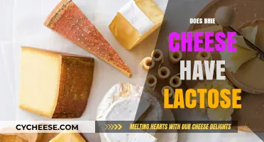 Does Brie Cheese Have Lactose? A Guide for Cheese Lovers