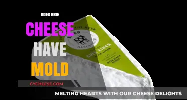 Is Brie Cheese Moldy? Understanding Its Unique Rind and Safety