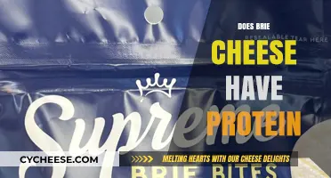 Does Brie Cheese Have Protein? Nutritional Breakdown and Benefits