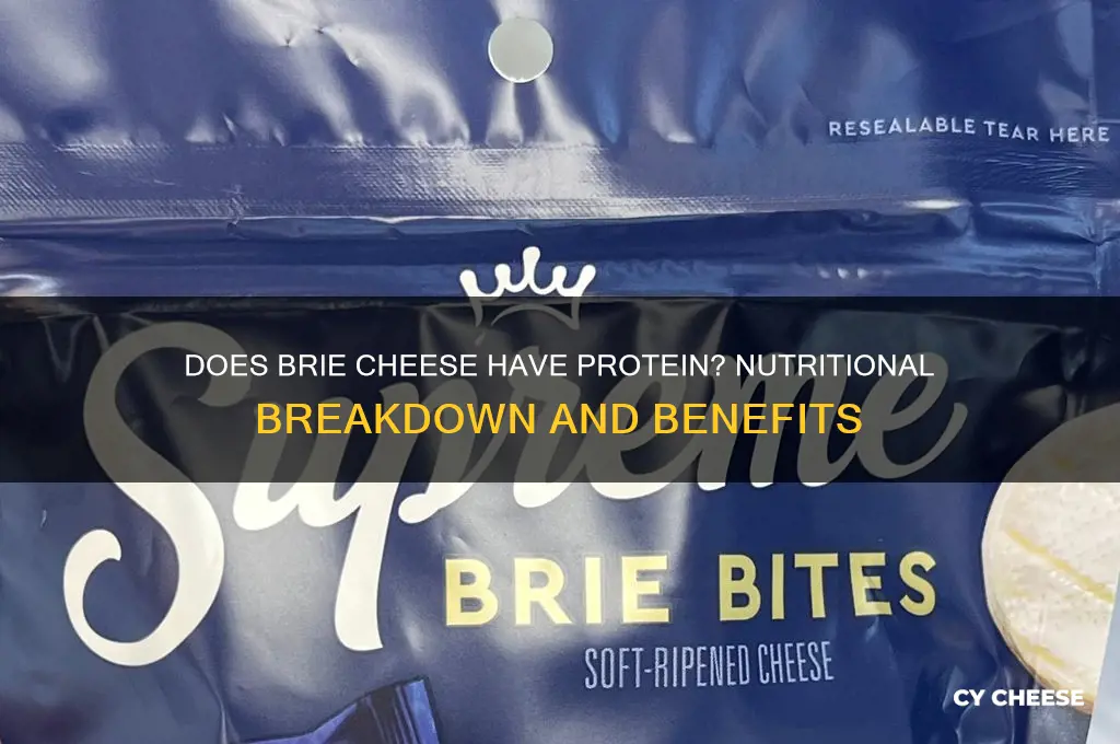 does brie cheese have protein