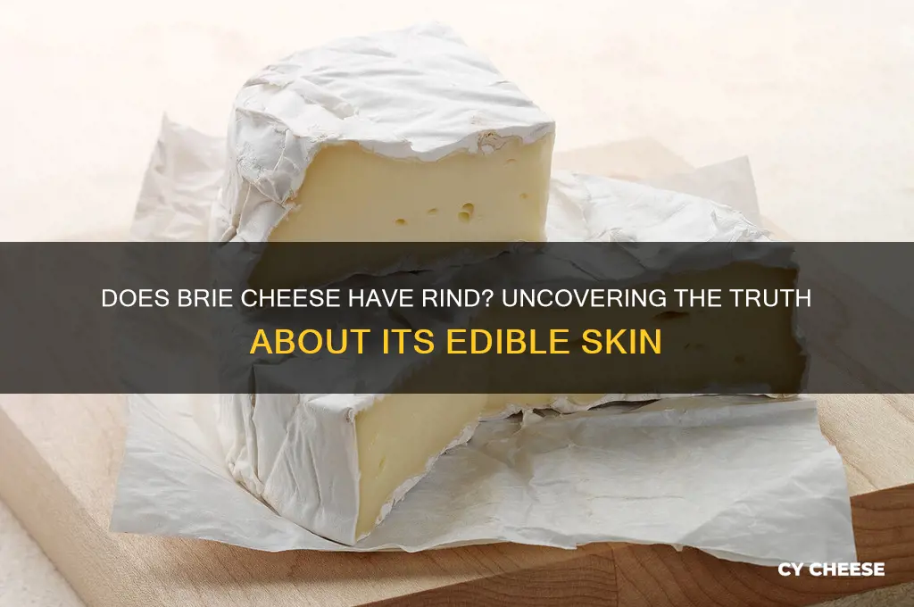 does brie cheese have rind