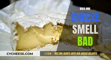 Brie Cheese: Why Does It Smell So Bad?