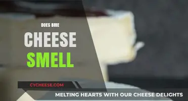 Does Brie Cheese Smell? Uncovering the Truth About Its Aroma