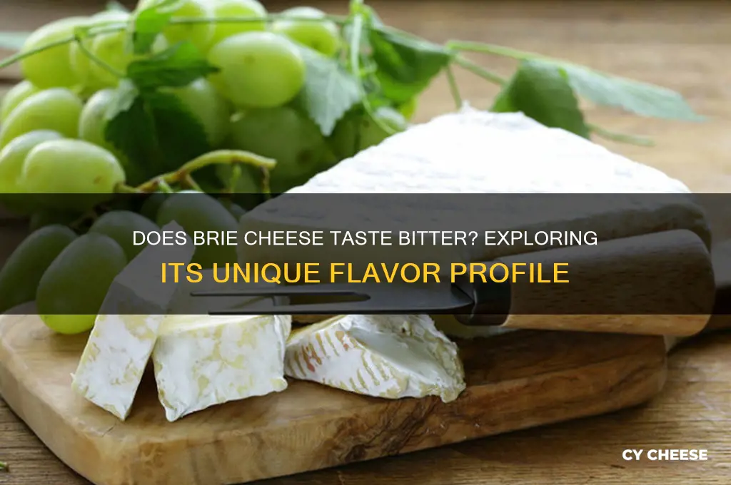 does brie cheese taste bitter