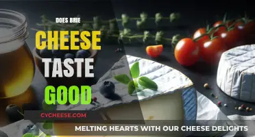 Does Brie Cheese Taste Good? Exploring Its Creamy, Rich Flavor Profile