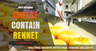 Britannia Cheese: Does It Contain Rennet? A Detailed Analysis