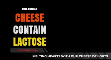 Buffalo Cheese and Lactose: What You Need to Know
