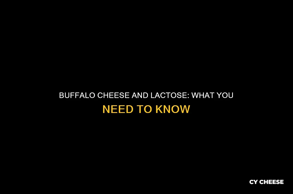 does buffalo cheese contain lactose