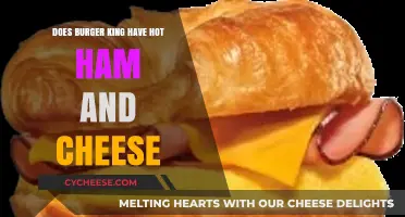 Does Burger King Serve Hot Ham and Cheese Sandwiches?