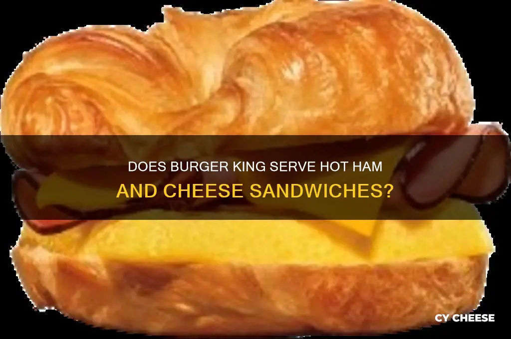 does burger king have hot ham and cheese